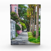 Bloc Photo Marcher le long de Rainbow Row (Devant)