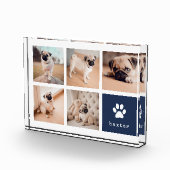 Bloc Photo Marine | Collage d'empreintes digitales de chien (Droite)