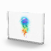 Bloc Photo Méduse arc-en-ciel (Droite)