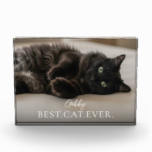 Bloc Photo Meilleur Chat Du Monde Nom et Photo de Votre Anima