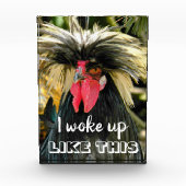 Bloc Photo Mème Drôle Mauvais Cheveux (Devant)