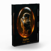 Bloc Photo Mémorial Berger Australien  (Gauche)