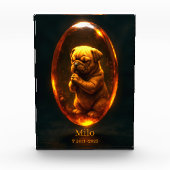 Bloc photo mémorial pour bouledogue anglais (Devant)