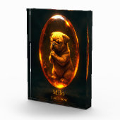 Bloc photo mémorial pour bouledogue anglais (Droite)