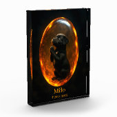 Bloc photo mémorial Retriever Labrador noir (Gauche)