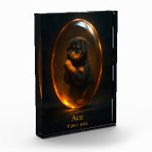 Bloc photo mémorial Rottweiler (Gauche)