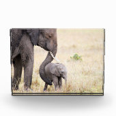 Bloc Photo Mère amour bébé éléphant (Devant)