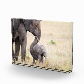 Bloc Photo Mère amour bébé éléphant (Droite)