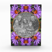 Bloc Photo Miel Abeille Sur Aster Flower Ajouter Votre (Devant)