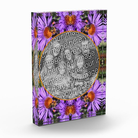 Bloc Photo Miel Abeille Sur Aster Flower Ajouter Votre (Gauche)