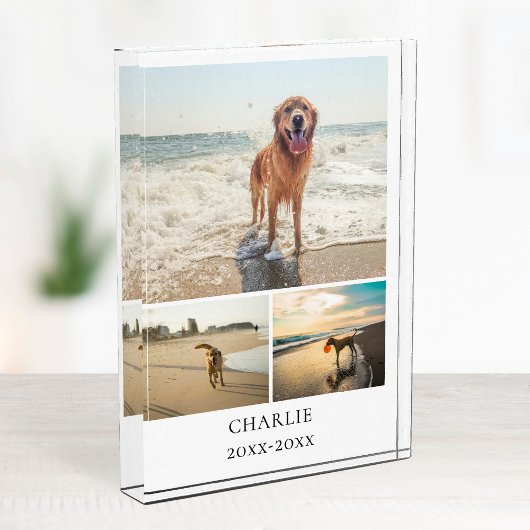 Bloc Photo Modern Dog Keepsake Cute Personalized Pet Collage