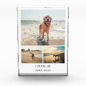 Bloc Photo Modern Dog Keepsake Cute Personalized Pet Collage (Devant)