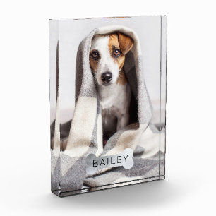 Bloc Photo Moderne minimaliste Animaux Faux Os Chien Argent
