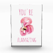 Bloc Photo Moderne Vous Flamazirez Beauté Flamant rose rose (Devant)