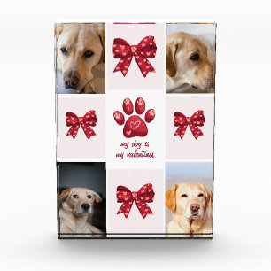 Bloc Photo Mon chien est mes valentines Bow 4 photos