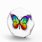 Bloc Photo Monarque papillon arc-en-ciel (Droite)