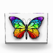 Bloc Photo Monarque papillon arc-en-ciel (Devant)