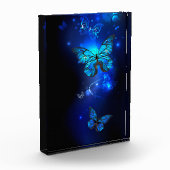 Bloc Photo Morpho Butterfly in the Dark Background (Gauche)