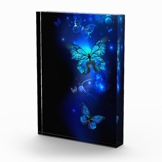 Bloc Photo Morpho Butterfly in the Dark Background (Droite)