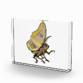 Bloc Photo Moth (Droite)
