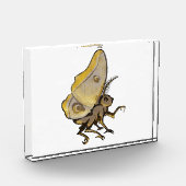 Bloc Photo Moth (Gauche)