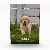 Bloc Photo My Dog Photo (Devant)