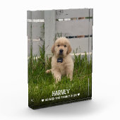 Bloc Photo My Dog Photo (Gauche)