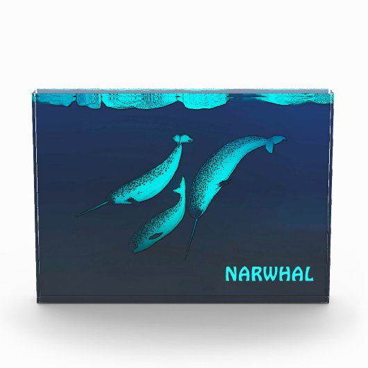 Bloc Photo Narwhal Sous La Glace (Devant)