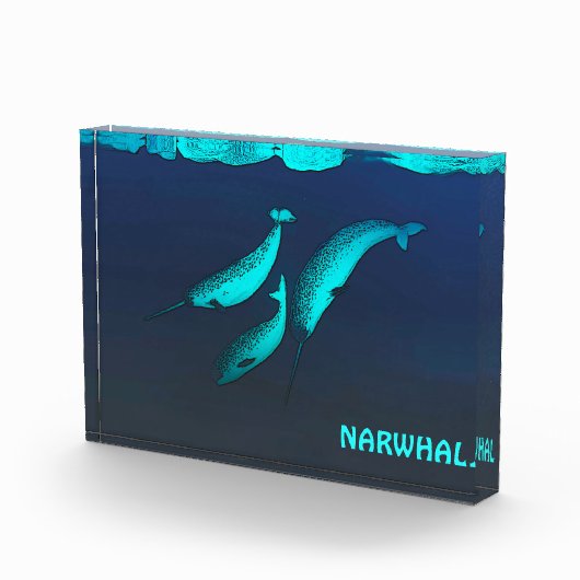 Bloc Photo Narwhal Sous La Glace (Droite)