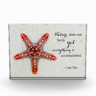 Bloc Photo Nature Print Starfish avec Lao Tzu Citation