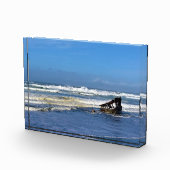 Bloc Photo Naufrage du Peter Iredale, côte de l'Oregon (Droite)