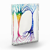 Bloc Photo Neurons  (Gauche)