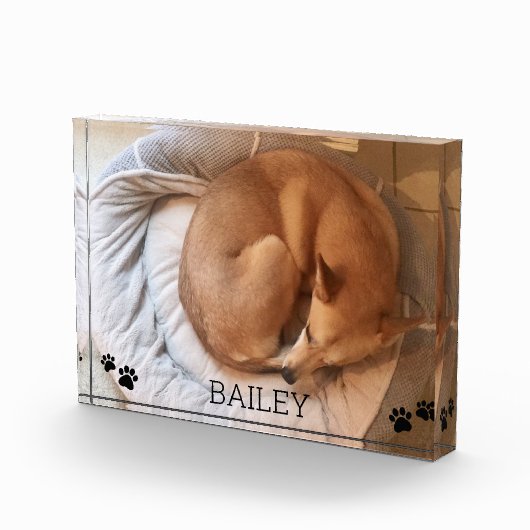 Bloc Photo Nom de la photo Pawprints Photo Block (Droite)