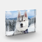 Bloc photo Nom du animal (Gauche)