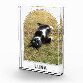 Bloc Photo Nom personnalisé de l'animal de compagnie Arc mode (Droite)