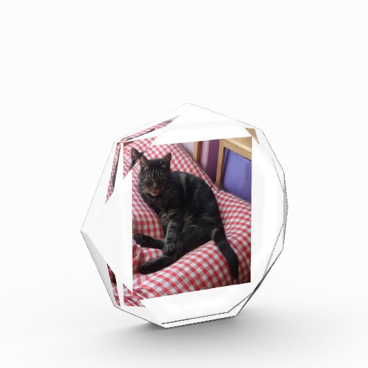 Bloc photo octogonal de mure Dave (Gauche)