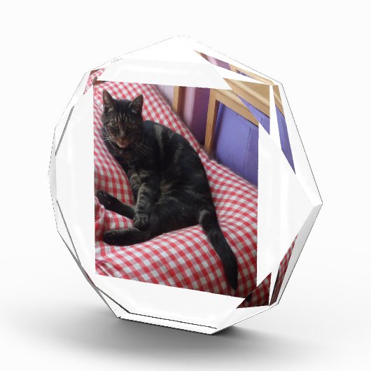 Bloc photo octogonal de mure Dave (Droite)