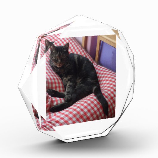 Bloc photo octogonal de mure Dave (Gauche)