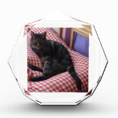 Bloc photo octogonal de mure Dave (Devant)