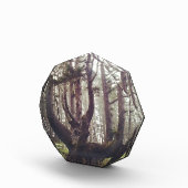 Bloc Photo Octopus Tree, Cape Meares, Oregon (Droite)