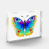 Bloc Photo Oeil de paon arc-en-ciel (Gauche)