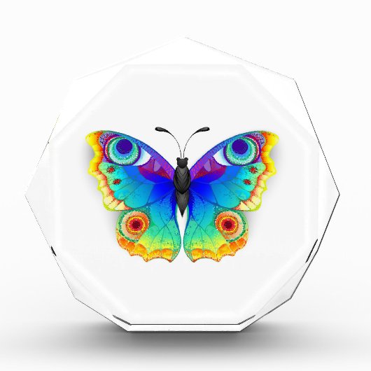 Bloc Photo Oeil de paon arc-en-ciel (Devant)