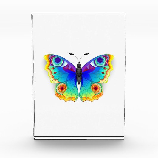 Bloc Photo Oeil de paon arc-en-ciel (Devant)