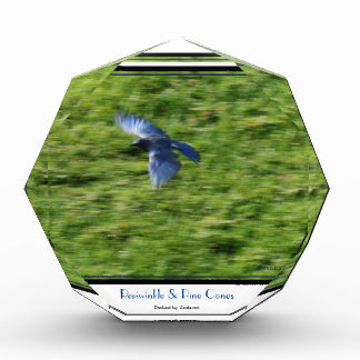 Bloc Photo Oiseau bleu qui monte en flèche à travers un champ