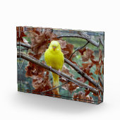 Bloc Photo Oiseau jaune dans l'ensemble de l'arbre Photo (Droite)