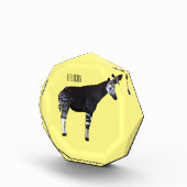 Bloc Photo Okapi (Droite)