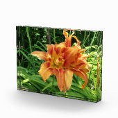 Bloc Photo Orange Daylily Flowers Horizontal (Droite)