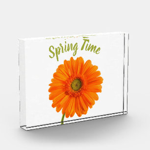 Bloc Photo Orange gerbera temps de printemps photo avec texte