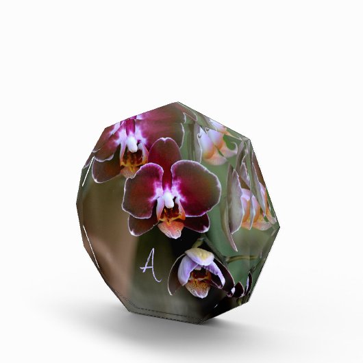 Bloc Photo Orchidées violettes Botanique Monogramme (Droite)