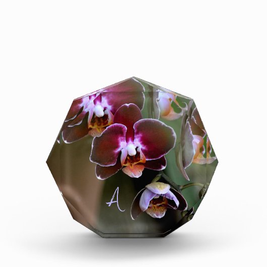 Bloc Photo Orchidées violettes Botanique Monogramme (Devant)